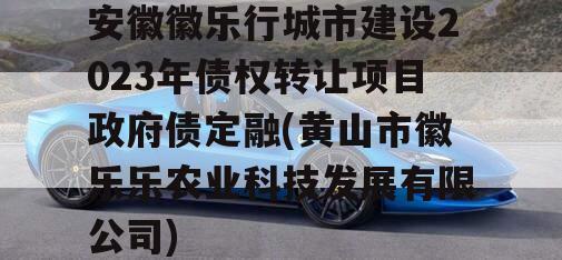 安徽徽乐行城市建设2023年债权转让项目政府债定融(黄山市徽乐乐农业科技发展有限公司)