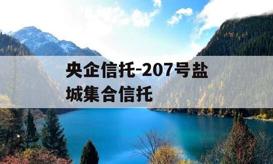 央企信托-207号盐城集合信托