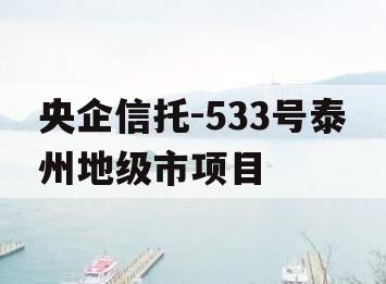 央企信托-533号泰州地级市项目