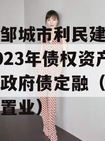 山东邹城市利民建设发展2023年债权资产计划政府债定融（邹城利民置业）