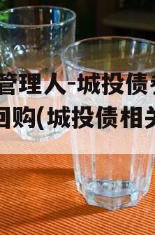 XX管理人-城投债券逆回购(城投债相关政策)