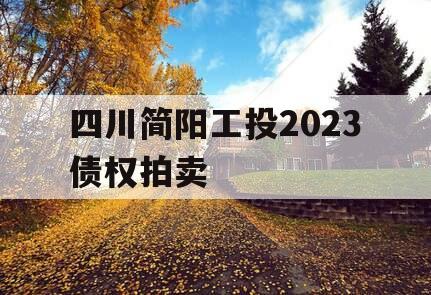 四川简阳工投2023债权拍卖