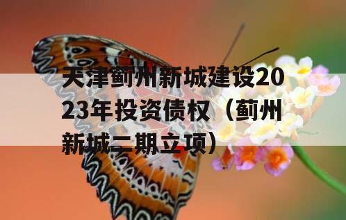 天津蓟州新城建设2023年投资债权（蓟州新城二期立项）