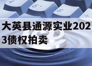 大英县通源实业2023债权拍卖