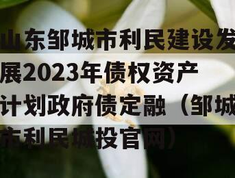 山东邹城市利民建设发展2023年债权资产计划政府债定融（邹城市利民城投官网）