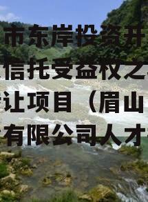 眉山市东岸投资开发财产权信托受益权之收益权转让项目（眉山东岸建设有限公司人才招聘）