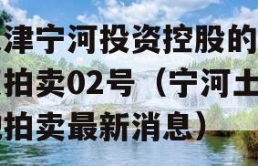 天津宁河投资控股的债权拍卖02号（宁河土地拍卖最新消息）