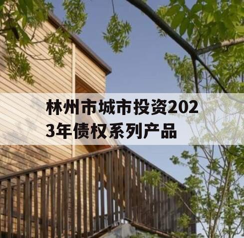 林州市城市投资2023年债权系列产品