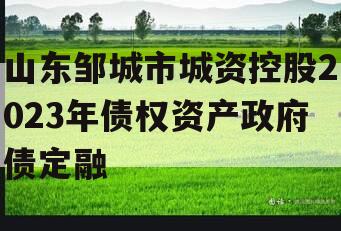 山东邹城市城资控股2023年债权资产政府债定融