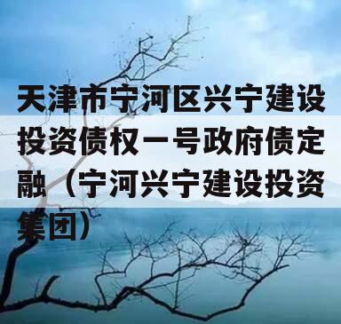 天津市宁河区兴宁建设投资债权一号政府债定融（宁河兴宁建设投资集团）