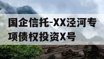 国企信托-XX泾河专项债权投资X号