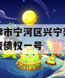 天津市宁河区兴宁建设投资债权一号