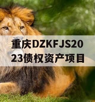 重庆DZKFJS2023债权资产项目
