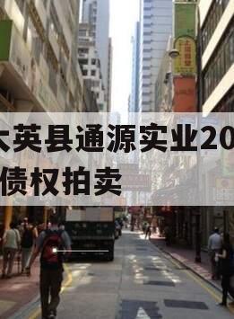 大英县通源实业2023债权拍卖