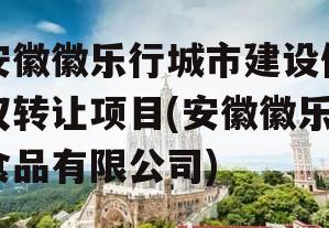 安徽徽乐行城市建设债权转让项目(安徽徽乐食品有限公司)