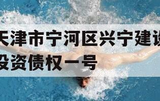 天津市宁河区兴宁建设投资债权一号