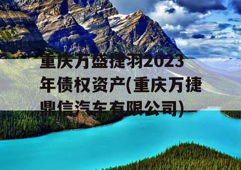 重庆万盛捷羽2023年债权资产(重庆万捷鼎信汽车有限公司)