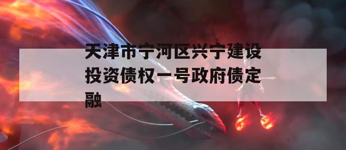 天津市宁河区兴宁建设投资债权一号政府债定融