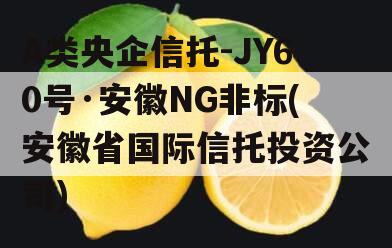 A类央企信托-JY60号·安徽NG非标(安徽省国际信托投资公司)