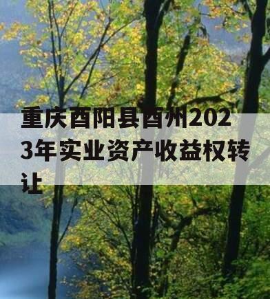重庆酉阳县酉州2023年实业资产收益权转让