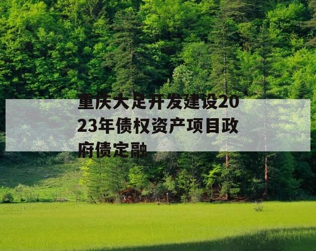 重庆大足开发建设2023年债权资产项目政府债定融
