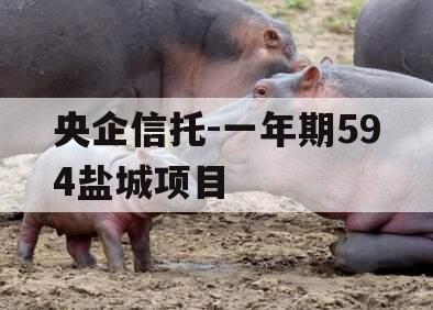 央企信托-一年期594盐城项目
