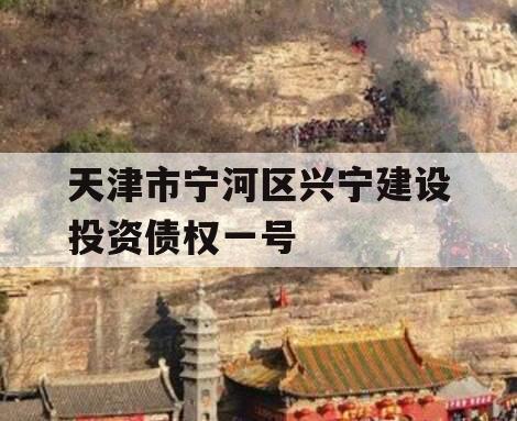 天津市宁河区兴宁建设投资债权一号