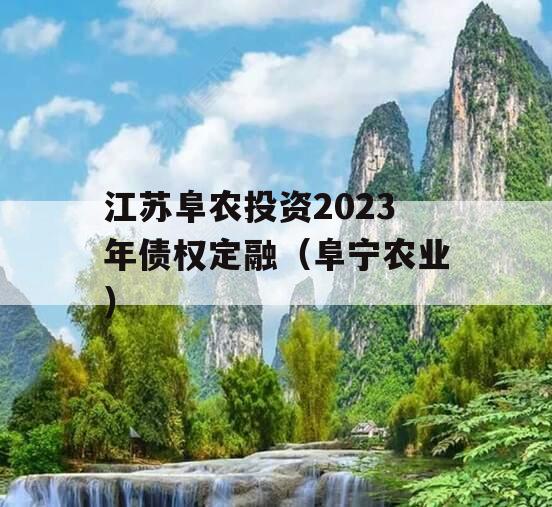 江苏阜农投资2023年债权定融（阜宁农业）