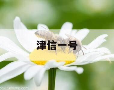 津信一号