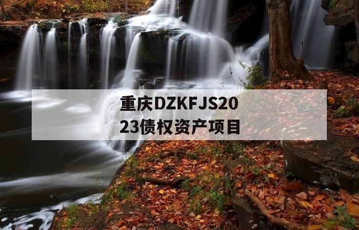 重庆DZKFJS2023债权资产项目