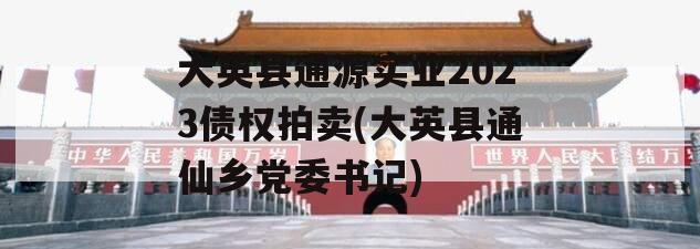 大英县通源实业2023债权拍卖(大英县通仙乡党委书记)