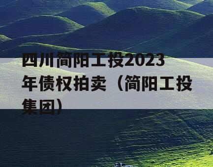 四川简阳工投2023年债权拍卖（简阳工投集团）