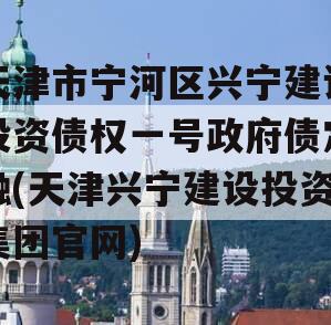 天津市宁河区兴宁建设投资债权一号政府债定融(天津兴宁建设投资集团官网)