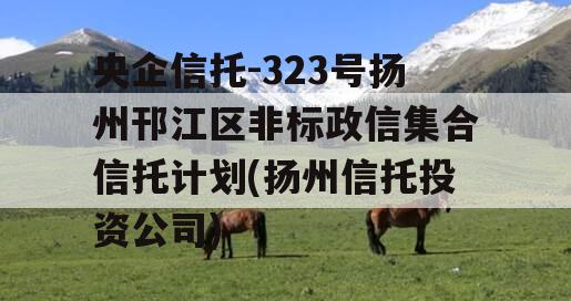 央企信托-323号扬州邗江区非标政信集合信托计划(扬州信托投资公司)