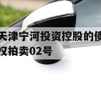 天津宁河投资控股的债权拍卖02号