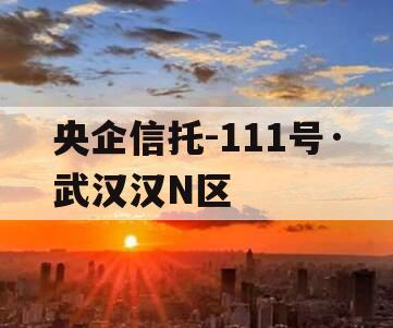 央企信托-111号·武汉汉N区