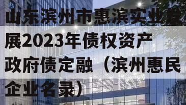 山东滨州市惠滨实业发展2023年债权资产政府债定融（滨州惠民企业名录）