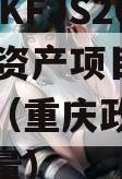 重庆DZKFJS2023债权资产项目政府债定融（重庆政府债券发行总量）