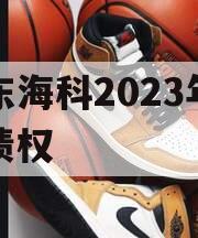 山东海科2023年发展债权