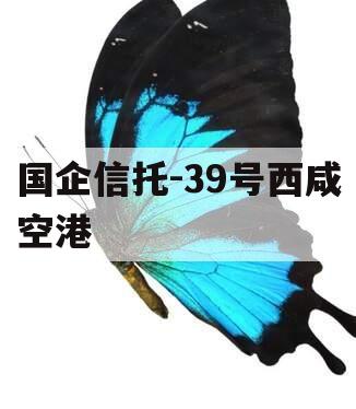国企信托-39号西咸空港