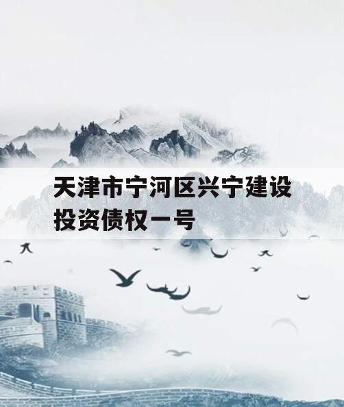 天津市宁河区兴宁建设投资债权一号