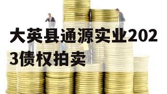 大英县通源实业2023债权拍卖