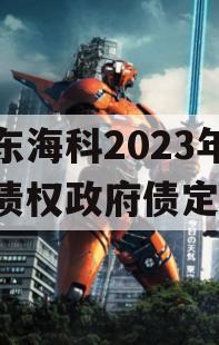 山东海科2023年发展债权政府债定融