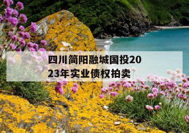 四川简阳融城国投2023年实业债权拍卖