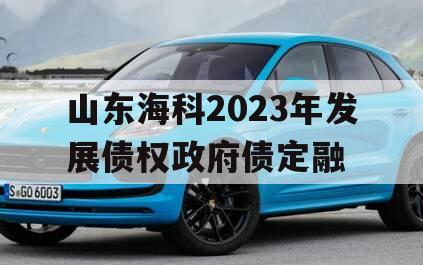 山东海科2023年发展债权政府债定融