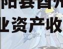 重庆酉阳县酉州2023年实业资产收益权转让