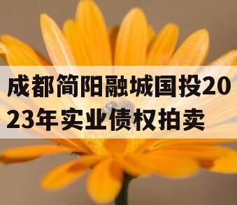 成都简阳融城国投2023年实业债权拍卖