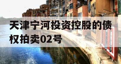 天津宁河投资控股的债权拍卖02号