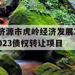 济源市虎岭经济发展2023债权转让项目