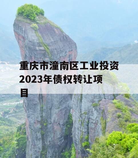 重庆市潼南区工业投资2023年债权转让项目